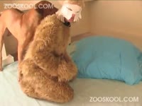 Zooskool Summer Madness - Free beastiality dog sex with a cosplayer